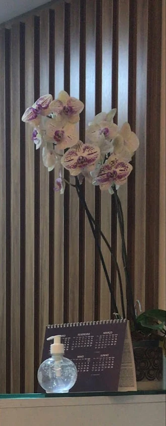 Canto da recepção do consultório: painel ripado de madeira, uma orquídea branca e o tampo de vidro do balcão.
